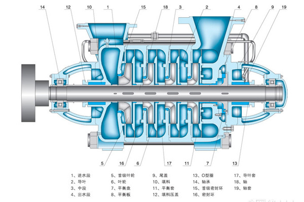 DF型不锈钢多级泵结构图
