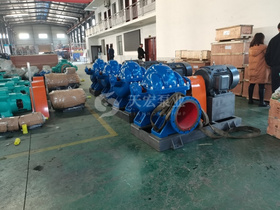 <b>广东某环保公司采购10SH-9A型卧式单级双吸离心泵</b>