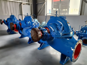 <b>江西某电力技术公司采购200S95型双吸离心泵用作冷却水循环泵</b>