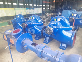 <b>上海某实业有限公司采购12SA-10型双吸中开泵</b>
