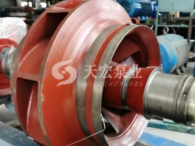 <b>中国某科工集团采购800S24A大型中开式双吸离心泵</b>