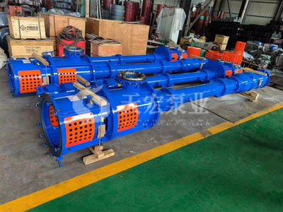 某工程公司浮船取水项目采购200LC-60型立式长轴泵