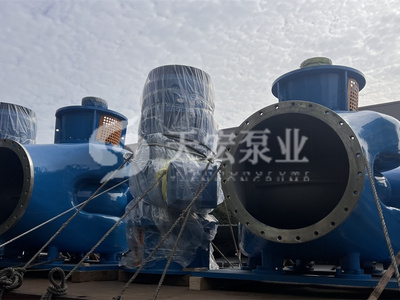 某船舶公司海洋工程采购天宏泵业4套立式抽出式双吸泵