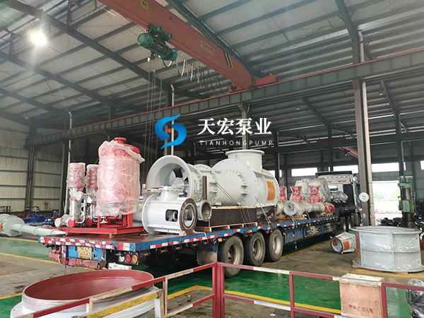 10万GT邮轮专用船坞排水泵客户验收完成交付 (2)
