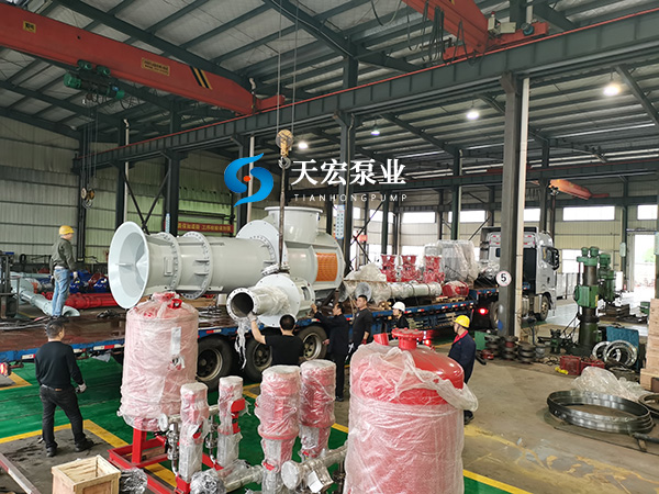 10万GT邮轮专用船坞排水泵客户验收完成交付 (3)